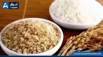 تحديث الأسعار اليومي سعر طن الأرز الشعير عند التجار الثلاثاء